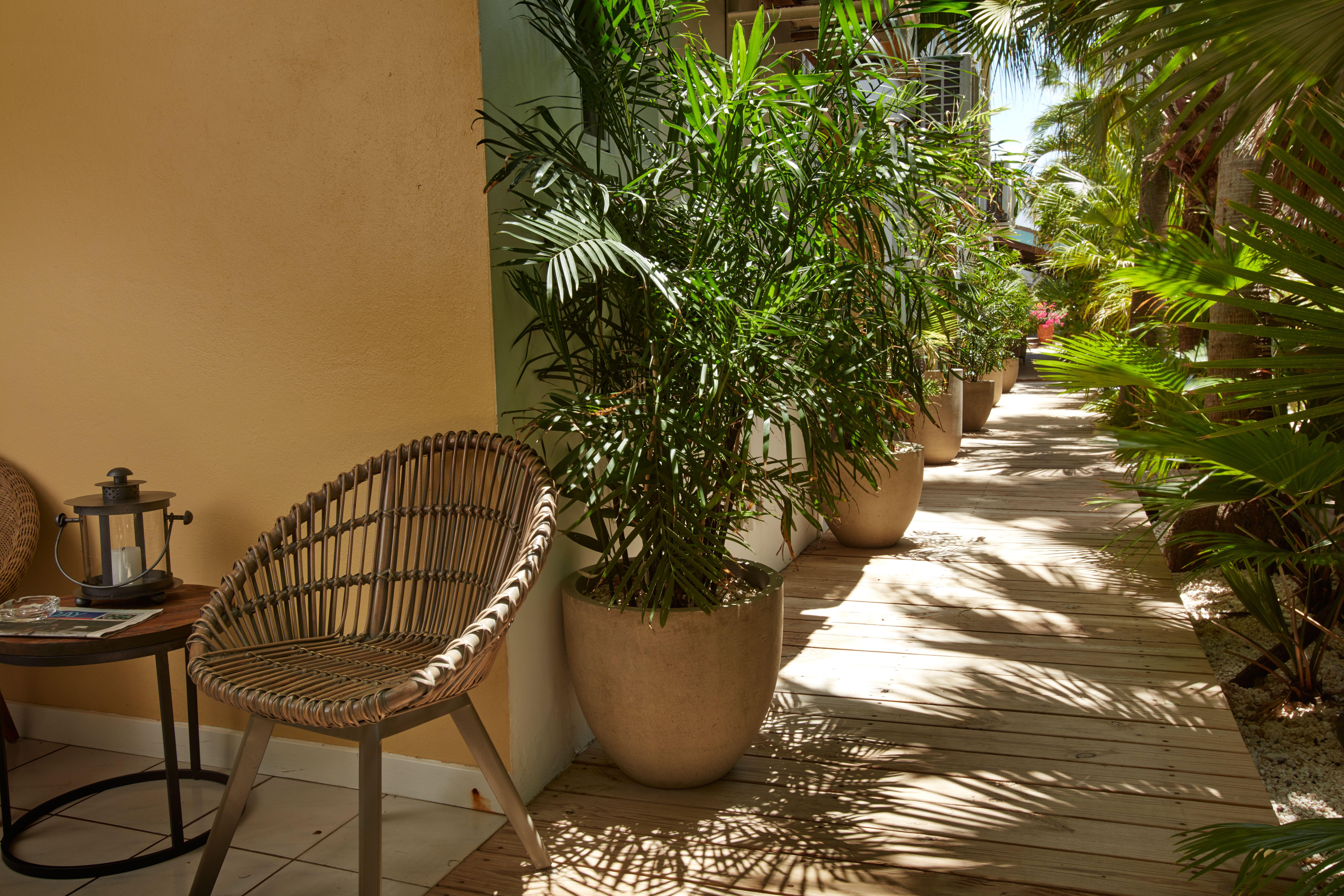 Paradera Park Aruba Oranjestad Extérieur photo