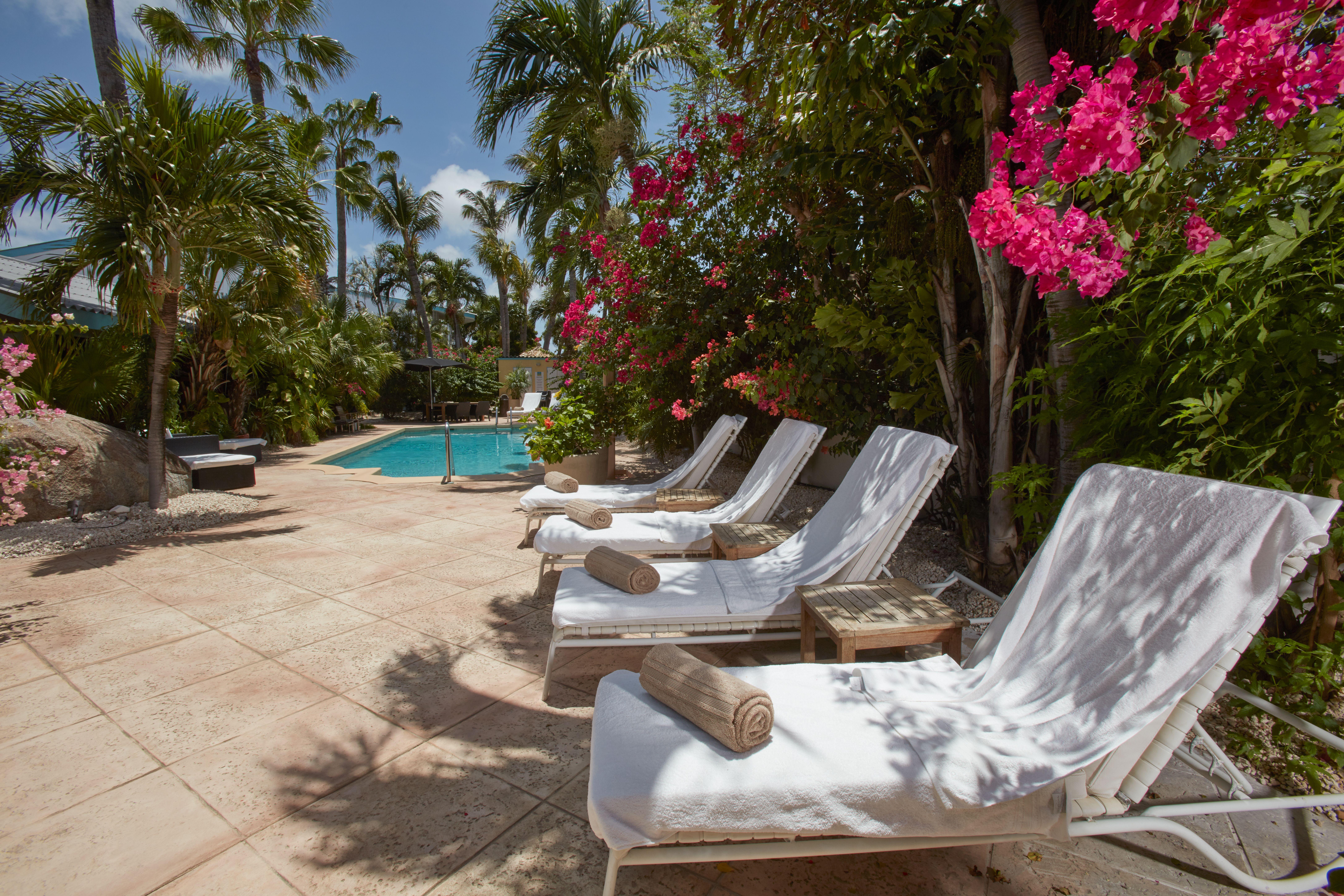 Paradera Park Aruba Oranjestad Extérieur photo