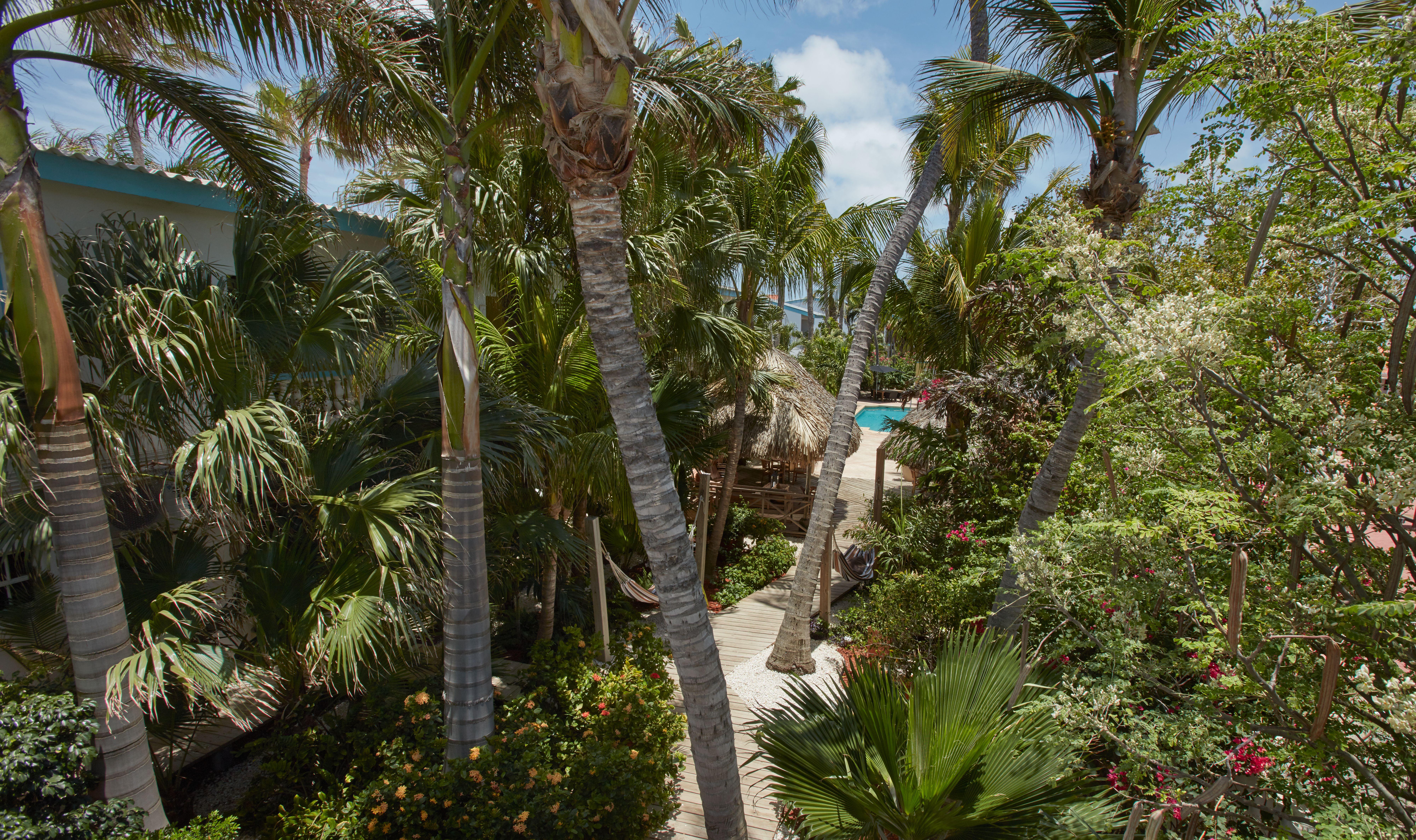 Paradera Park Aruba Oranjestad Extérieur photo