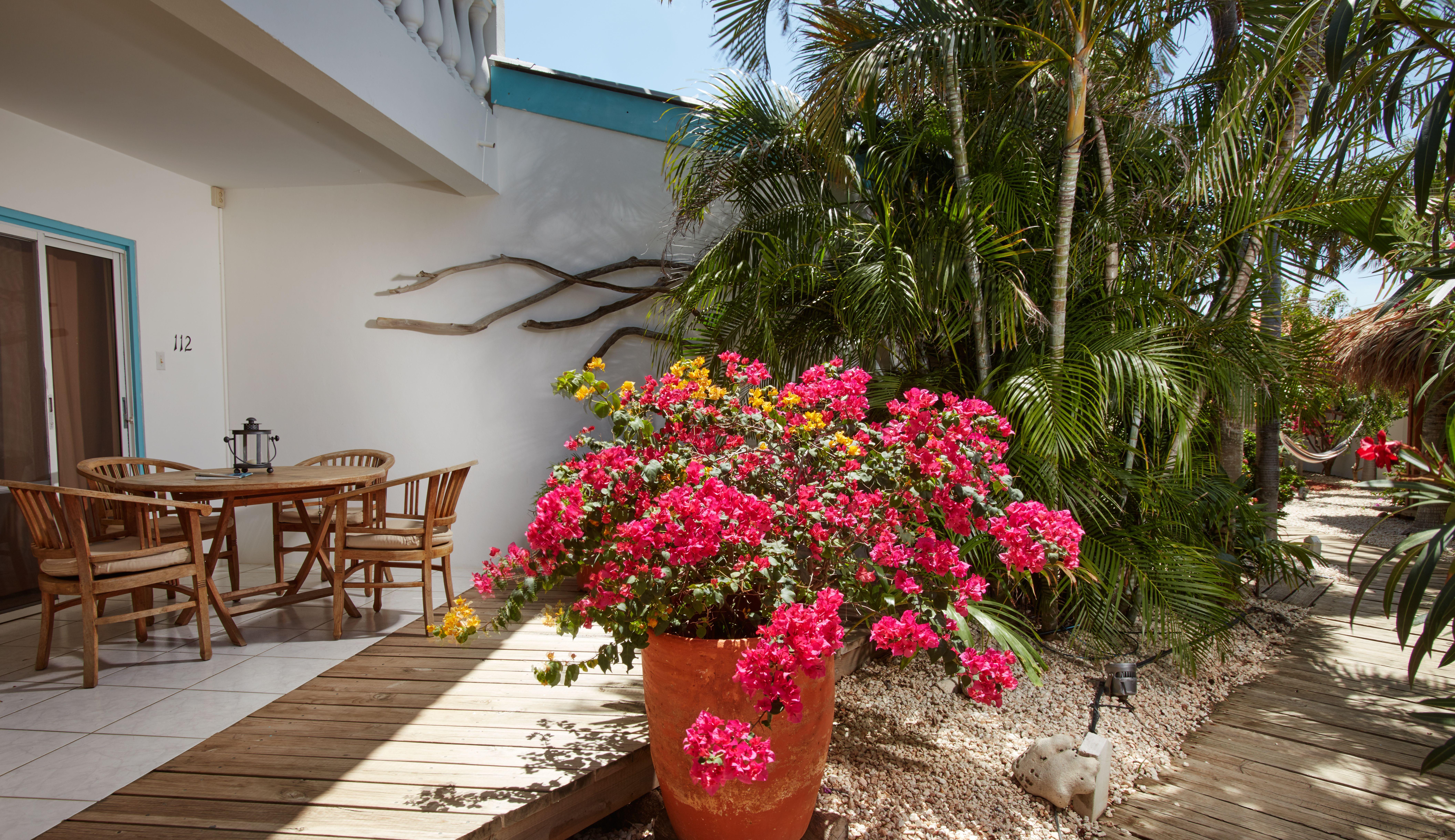 Paradera Park Aruba Oranjestad Extérieur photo